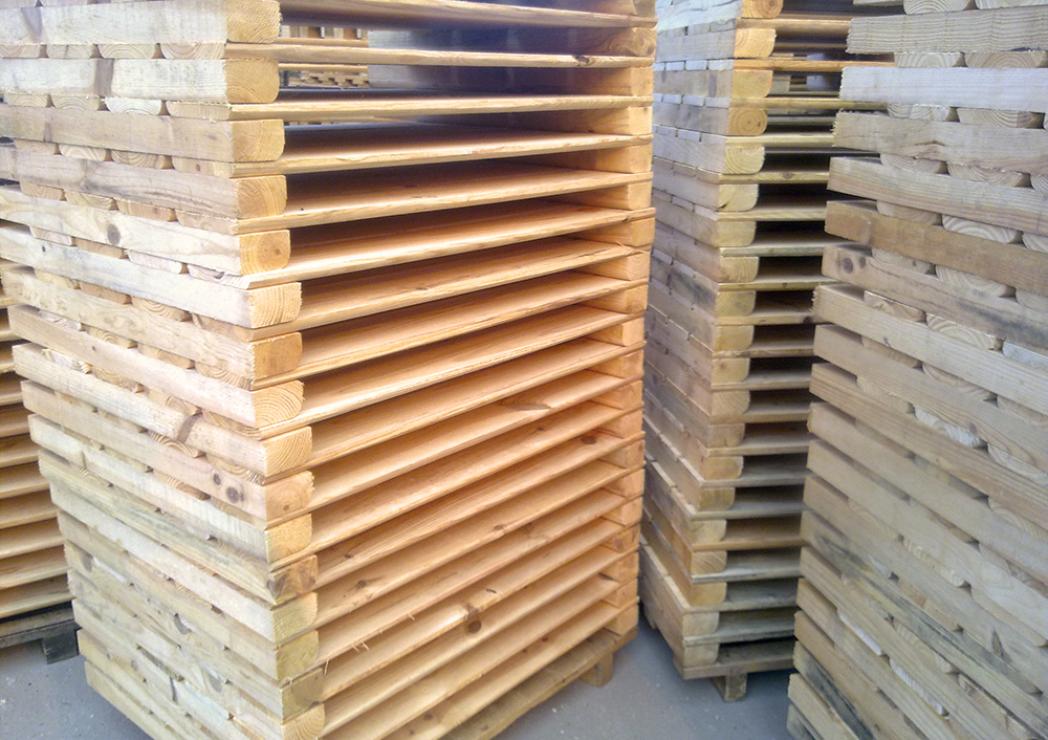 Paletes de madeira