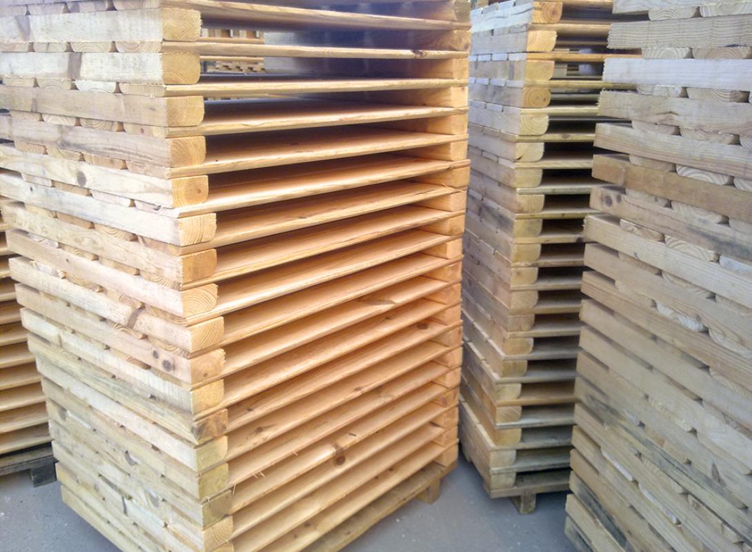 Paletes de madeira