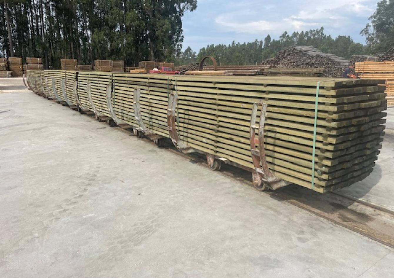 MADEIRA CLASSIFICADA C18 E C24 (3)